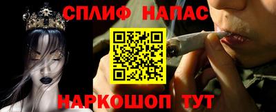 спиды Краснодар