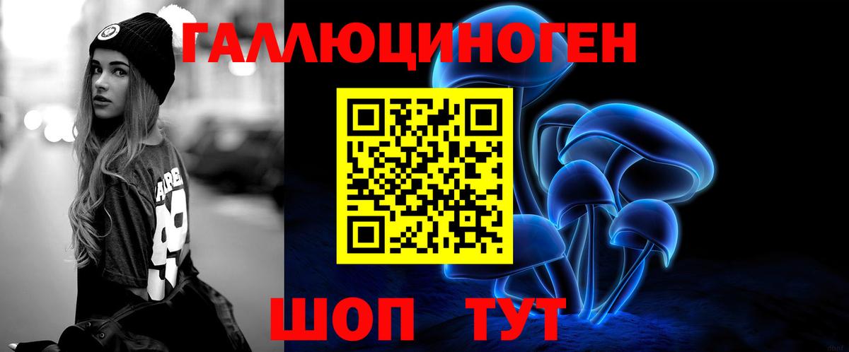 Галлюциногенные грибы Psilocybe  Вход с VPN  Шелехов 